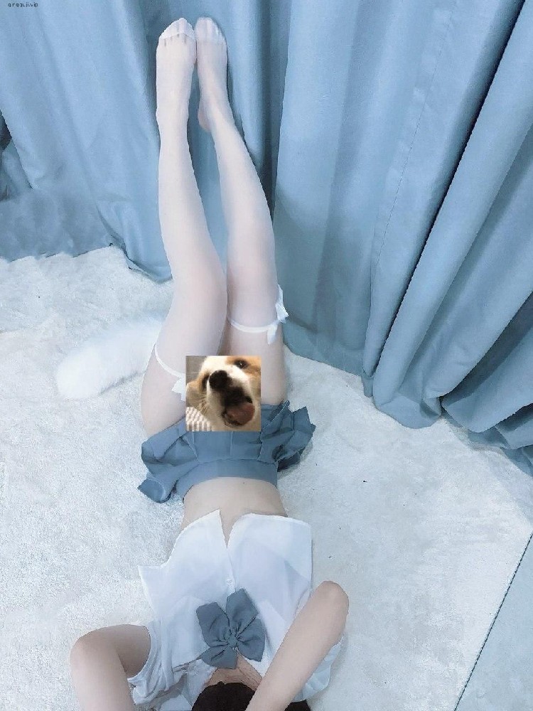 幼金  - 铁粉空间 可爱狗娘