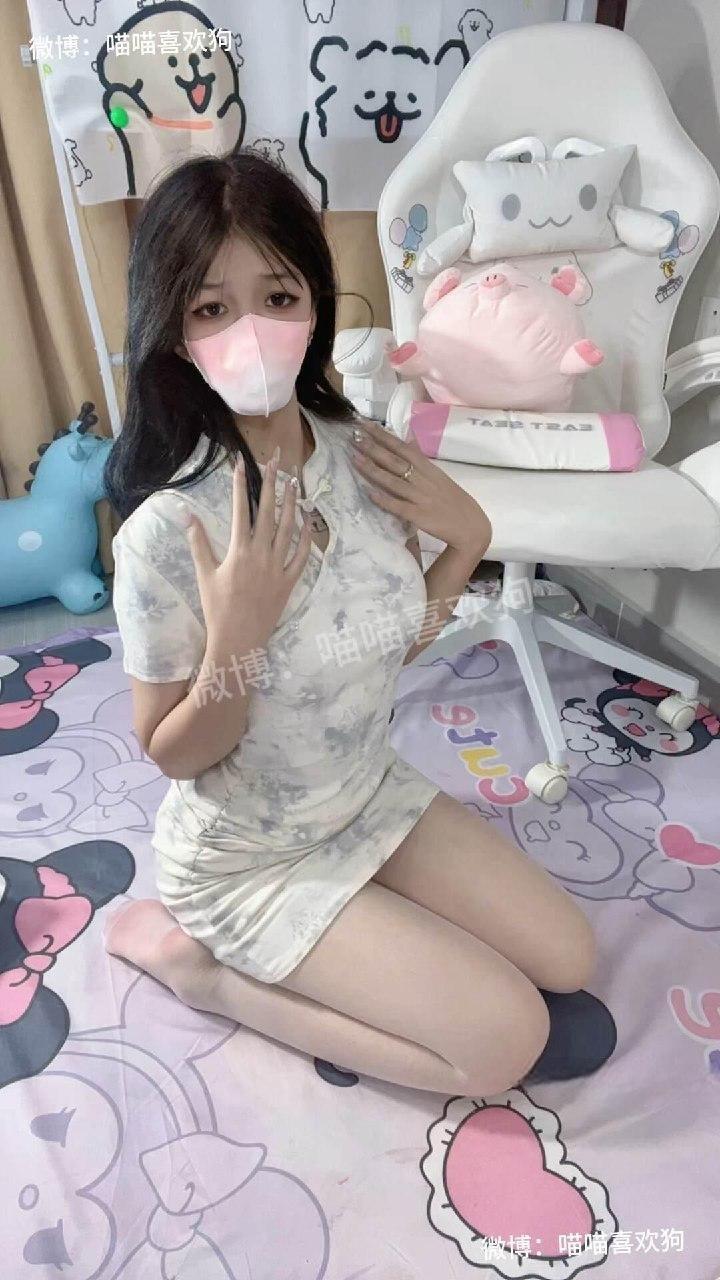 喵喵喜欢狗 - 白丝旗袍