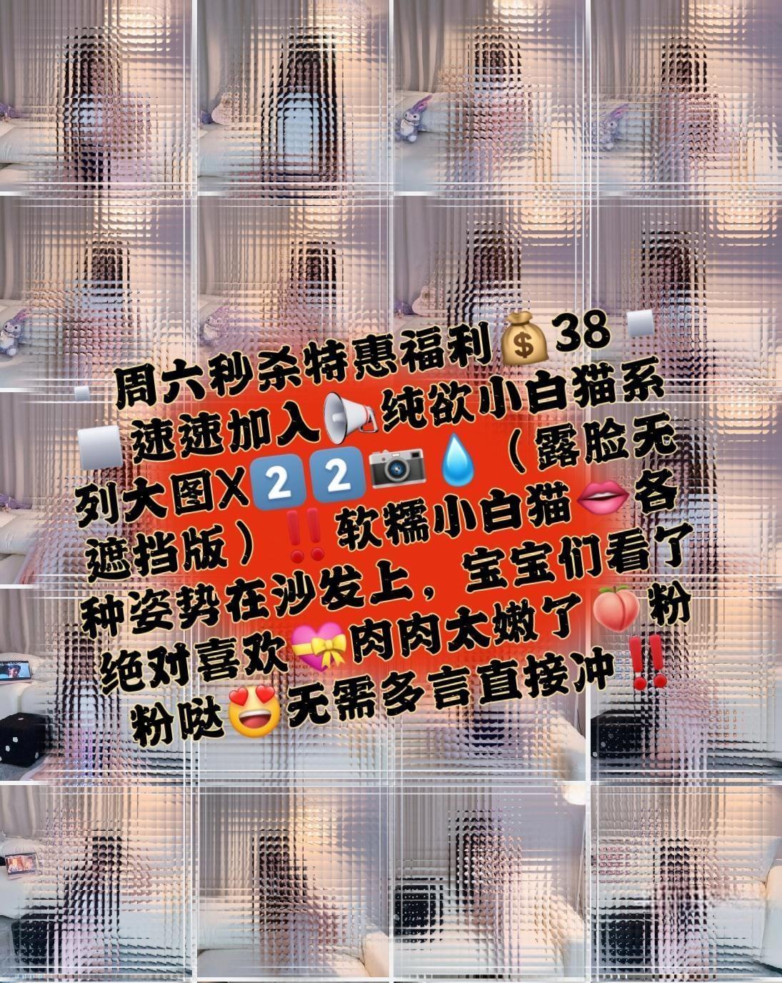 喜欢吃香菜 -  软糯小白猫第13张图片